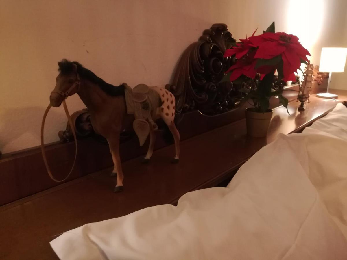 Residence Colli 博洛尼亚 外观 照片